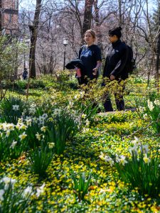 Students walking on the Johns Hopkins University Homewood campus.