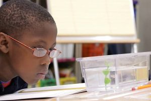 A child looking at a plastic container with water and a plant in it.