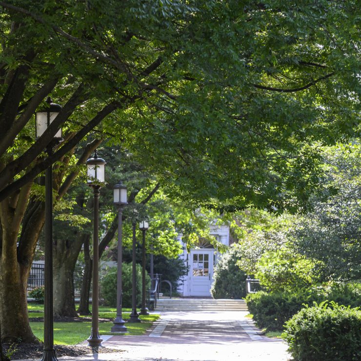 A sidewalk on the Johns Hopkins University Homewood campus.