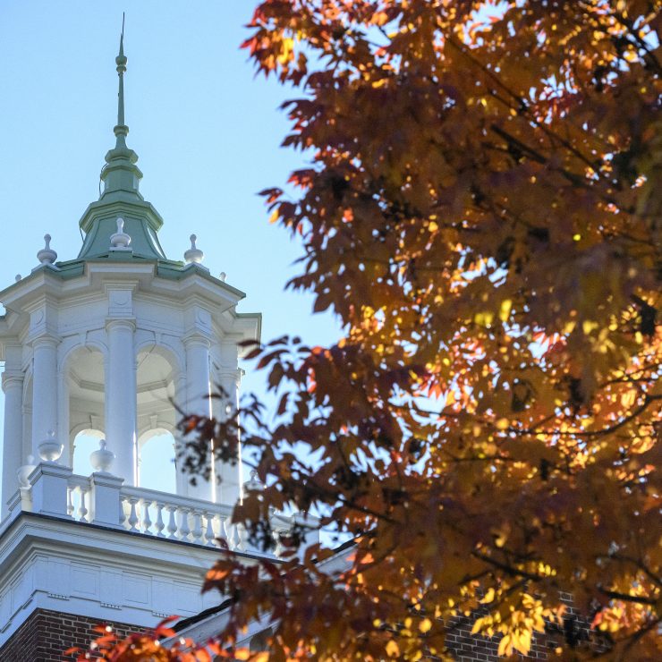 Fall leaves on the Johns Hopkins University Homewood campus.