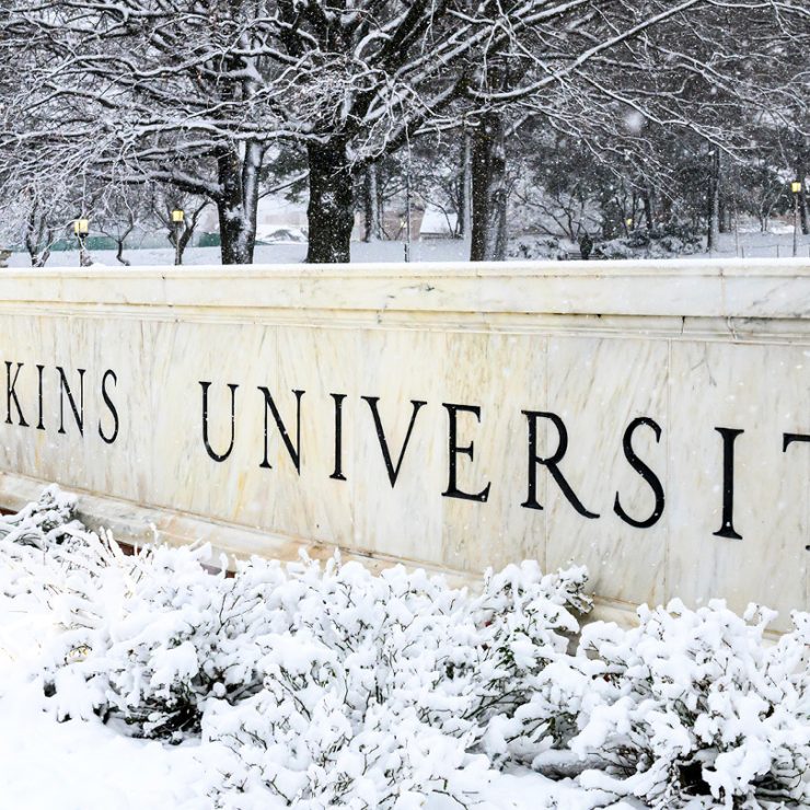 Snow covered trees and plants surrounding a marble wall that reads The Johns Hopkins University.