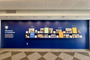 The ground floor foyer with various items arranged in a gallery style on shelves